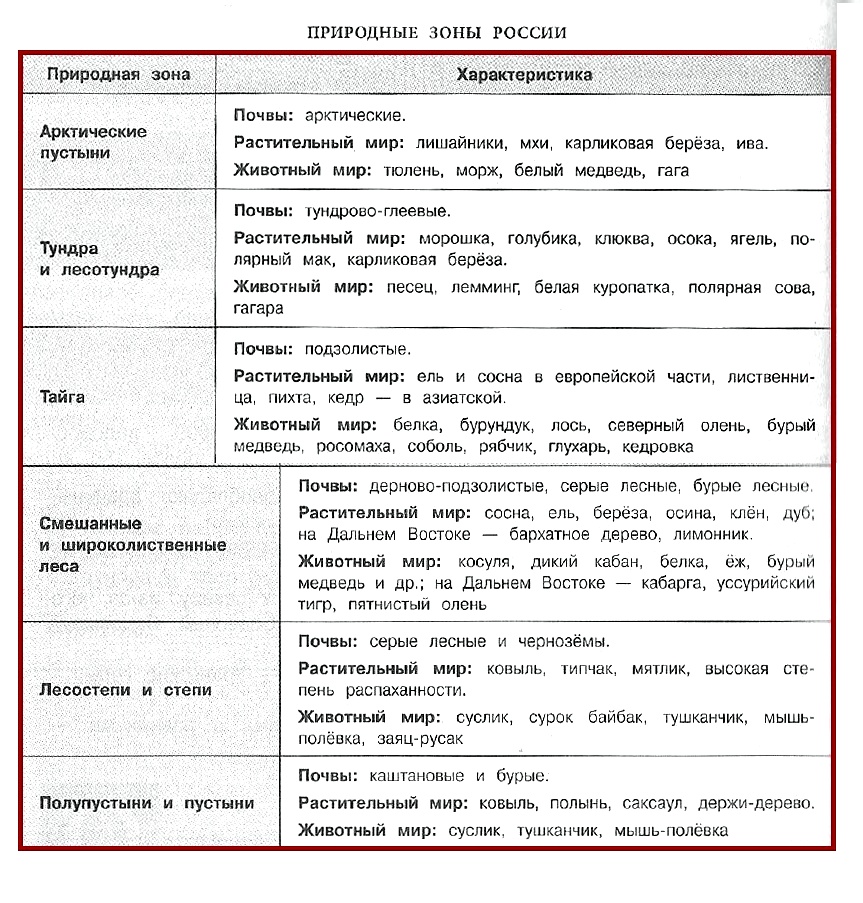 Таблица растительный и животный мир. Характеристика природных зон России таблица. Природные зоны России и их характеристика таблица 8 класс. Природные зоны России 8 класс таблица природные зоны. Характеристика природных зон России таблица 4 класс таблица.